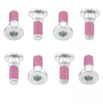 Sada šroubů 10ks zadní rám a startovací páka pro Kawasaki M8x20mm